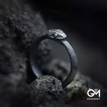 Punk Dark Ouroboros Pagan Ring