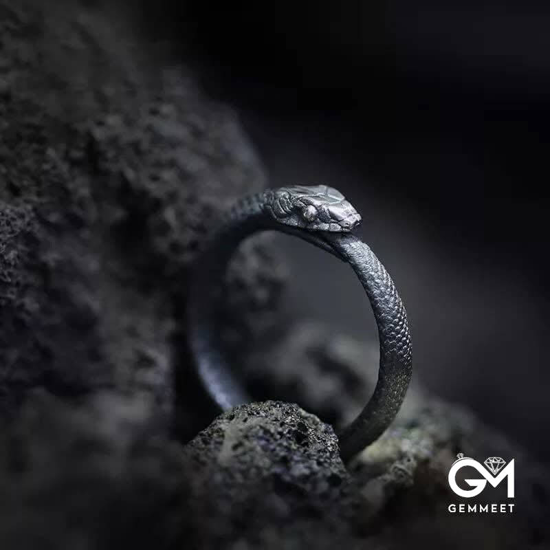 Punk Dark Ouroboros Pagan Ring